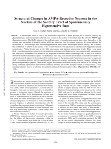 Structural Changes in AMPA-Receptive Neurons in the Nucleus of