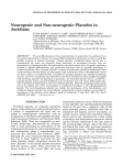 Neurogenic and non-neurogenic placodes in ascidians