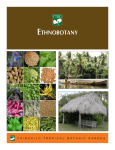 EtHNOBOtANY - Fairchild Tropical Botanic Garden