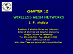 Wireless Mesh Networks - BWN-Lab