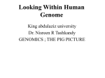 Looking within human genome