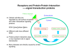 Receptors and Protein-Protein Interaction ----