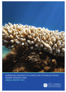 norwegian university of science and technology (ntnu) marine