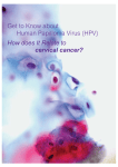 Get to Know about Human Papilloma Virus (HPV) How does It