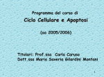 Ciclo Cellulare e Apoptosi