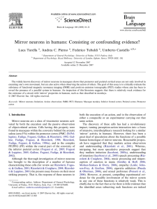 Mirror neurons in humans: Consisting or confounding