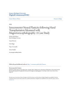 Sensorimotor Neural Plasticity following Hand Transplantation