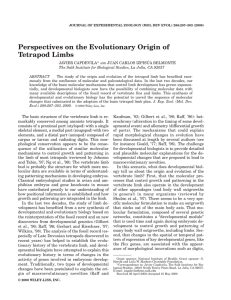 Perspectives on the evolutionary origin of tetrapod limbs
