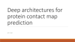 Deep architectures for protein contact map prediction