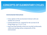 CONCEPTS OF ELEMENTARY CYCLES