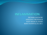 fibrinous inflammation