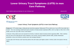 Lower Urinary Tract Symptoms [ LUTS] Pathway