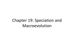 Chapter 19: Speciation and Macroevolution