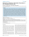 Mechanisms of Maximum Information Preservation in the Drosophila