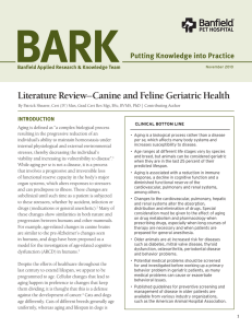 Literature Review—Canine and Feline Geriatric Health