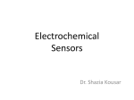 Electrochemical Sensors