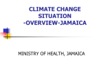 ministry of health action plan