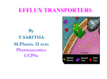 Efflux transporters