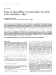 Neural Correlates of Object-Associated Choice Behavior