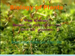 Botanical organisms