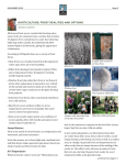 Causal Factors Air Temperature HORTICULTURE: FROST