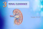 L3-Renal Clearance