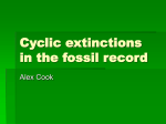 Cyclic extinctions in the fossil record