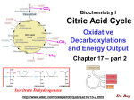 Citric Acid Cycle