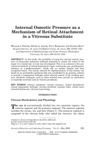 Internal Osmotic Pressure as a Mechanism of Retinal Attachment in
