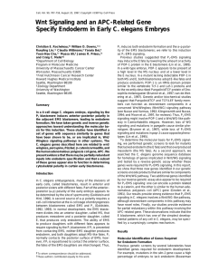 Wnt Signaling and an APC-Related Gene Specify Endoderm in