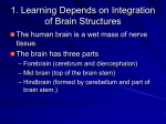 1. Learning Depends on Integration of Brain Structures