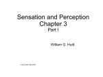General Psychology: Sensation