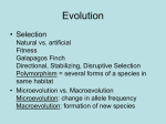 Genetics and Evolution Ch. 2