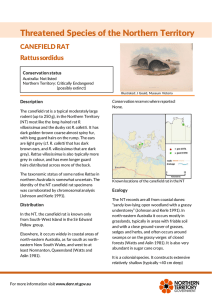 Canefield Rat - Northern Territory Government