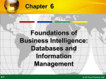 6 Foundations of Business Intelligence: Databases