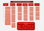 Physics Knowledge Map - Forces and their Effects