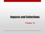 Impacts and Extinctions - 13
