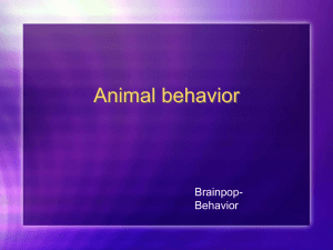 Animal behavior