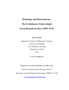 Homology and Heterochrony