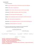 Ecosystems intro worksheet - answers