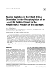 44-kDa Protein Present in the Mitochondrial