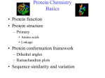 Protein Basics