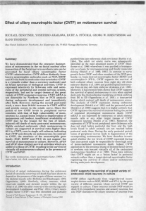 Effect of ciliary neurotrophic factor (CNTF) on motoneuron survival