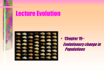 Evolution, Chapter 19