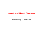 Heart and Heart Diseases