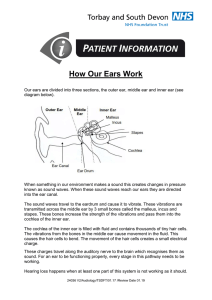How our ears work information leaflet