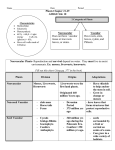 Plant Notes- teacher copy