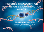 Reverse_Transcription_PCR