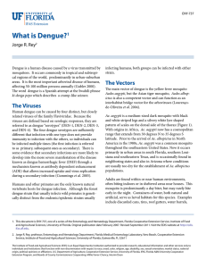 What is Dengue?1
