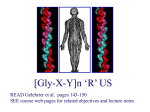 Type I collagen